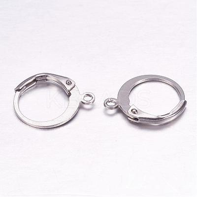 Tarnish Resistant 304 Stainless Steel Leverback Earring Findings STAS-F117-41P-1