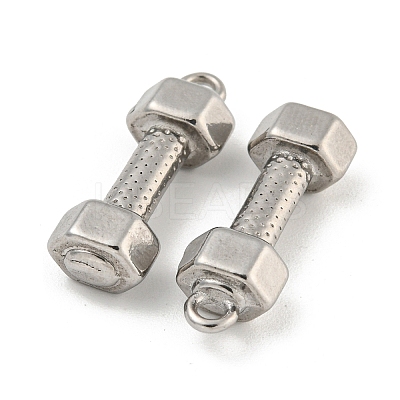 Non-Tarnish 304 Stainless Steel Pendants STAS-N103-79P-1