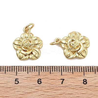 Brass Pendants KK-Q006-04G-1