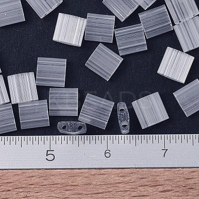 MIYUKI TILA Beads X-SEED-J020-TL2595-1