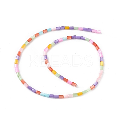 Natural Freshwater Shell Dyed Beads Strands X-SHEL-M018-12-13-1