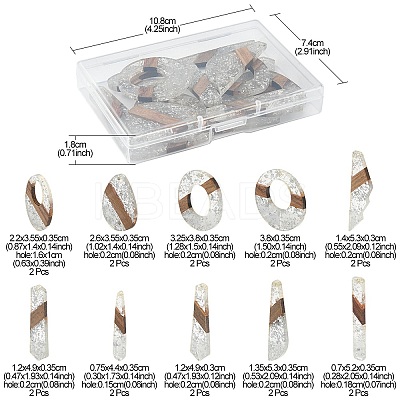 20Pcs 10 Styles Transparent Resin & Walnut Wood Big Pendants RESI-YW0001-31-1