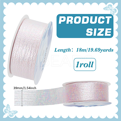 18M Iridescent Polyester Ribbon OCOR-WH0097-10B-1