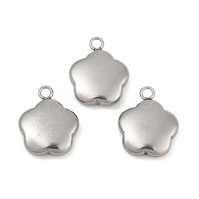 Tarnish Resistant 304 Stainless Steel Charms STAS-K002-33A2-1