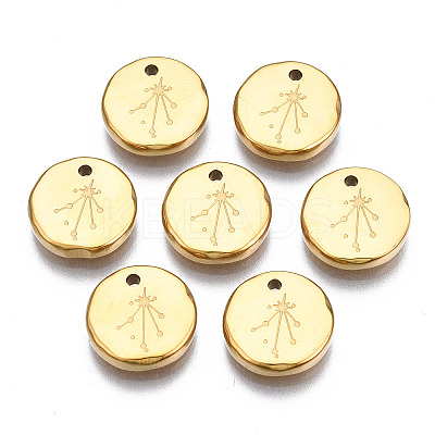 316 Surgical Stainless Steel Charms STAS-S116-418K-G-1
