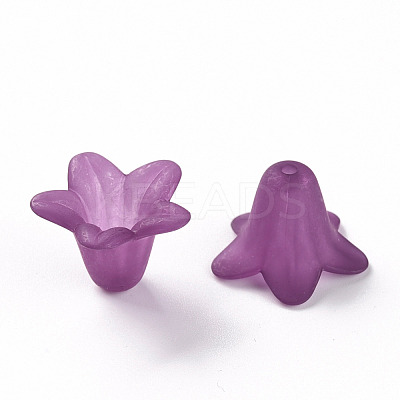 Transparent Acrylic Beads PLF018-16-1