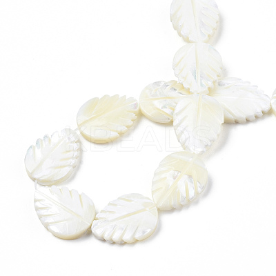 Natural Trochid Shell/Trochus Shell Beads Strands SSHEL-N034-136A-01-1