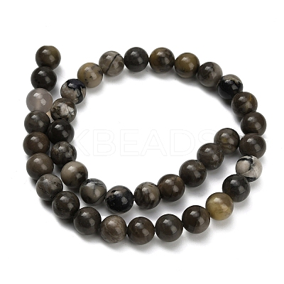 Natural Volcanic Agate Beads Strands G-G305-A01-10mm-1