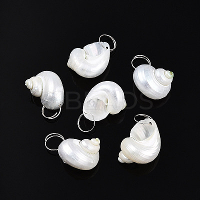 Natural Spiral Shell Pendants SHEL-N036-11-1