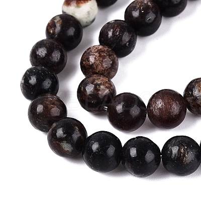 Natural Biotite Beads Strands G-Q616-01C-1
