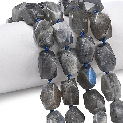 Natural Labradorite Beads Strands G-C270-F01-1