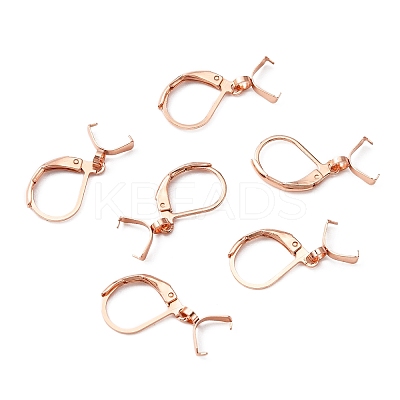 304 Stainless Steel Leverback Earring Findings STAS-WH0031-19RG-1