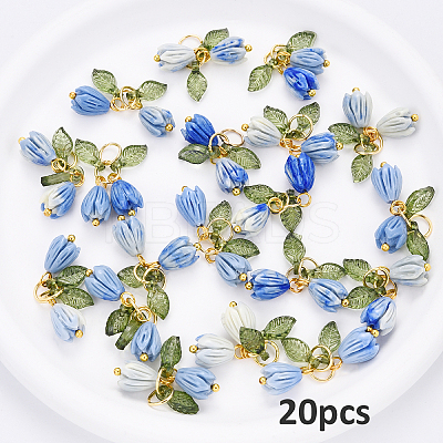 Acrylic & Resin Pendants PALLOY-YW00038-03-1