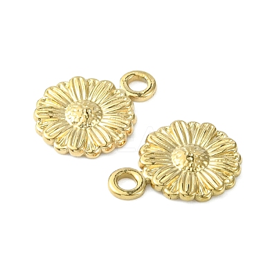 304 Stainless Steel Charms STAS-L269-056G-1