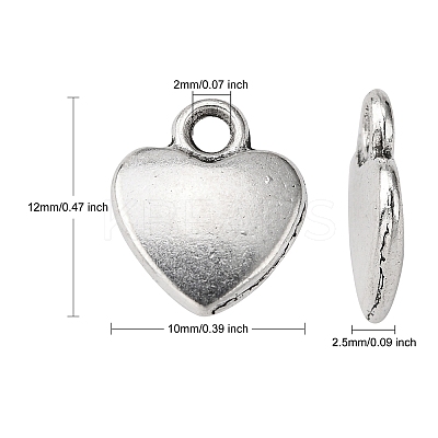 Tibetan Style Alloy Charms LS-X-LF1170Y-1