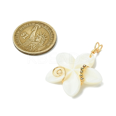 Natural Carved Freshwater Shell Pendants PALLOY-JF03390-1