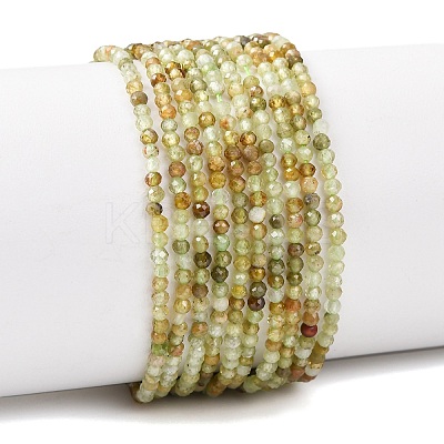 Natural Green Garnet Beads Strands G-A235-A02-02A-1