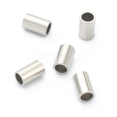 Non-Tarnish 304 Stainless Steel Beads STAS-H160-06A-P-1