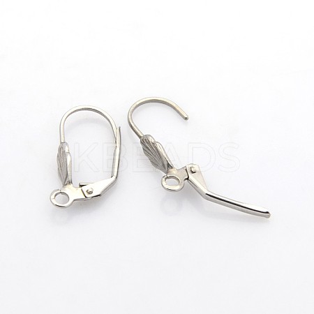 Tarnish Resistant 304 Stainless Steel Leverback Earring Findings LS-STAS-N036-02-1
