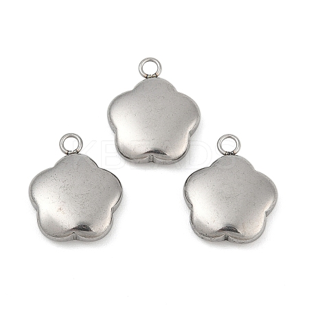 Tarnish Resistant 304 Stainless Steel Charms STAS-K002-33A2-1
