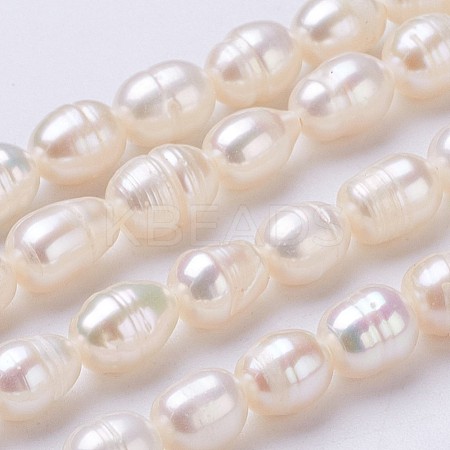 Natural Cultured Freshwater Pearl Beads Strands PEAR-P002-43-1