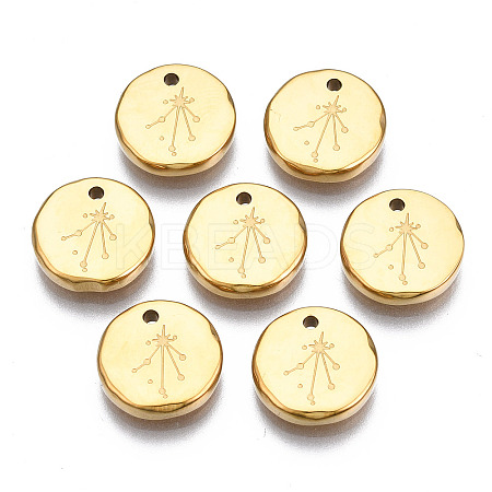316 Surgical Stainless Steel Charms STAS-S116-418K-G-1