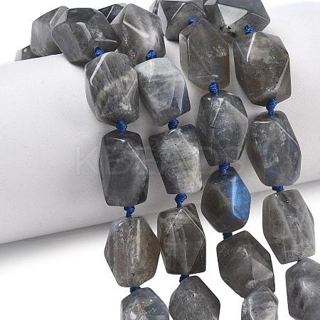 Natural Labradorite Beads Strands G-C270-F01-1