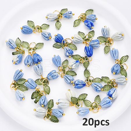 Acrylic & Resin Pendants PALLOY-YW00038-03-1