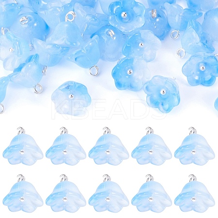 38Pcs Glass Charms GLAA-TADJ0001-19A-1