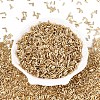 Glass Bugle Beads SEED-R011-22-2