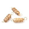 Natural Picture Jasper Connector Charms PALLOY-JF01580-04-1