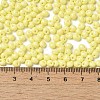 6/0 Opaque Baking Paint Glass Seed Beads SEED-M012-02A-19-4
