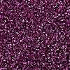 MIYUKI Delica Beads SEED-X0054-DB2162-3
