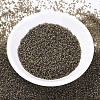 MIYUKI Delica Beads LS-X-SEED-J020-DB0384-3