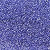 MIYUKI Delica Beads X-SEED-J020-DB0243-1
