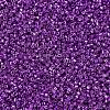 MIYUKI Delica Beads SEED-X0054-DB0431-3