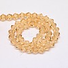 Transparent Glass Beads Strands LS-EGLA-A039-T6mm-D18-2