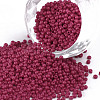 11/0 Grade A Baking Paint Glass Seed Beads X-SEED-N001-A-1058-1