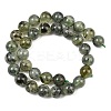 Natural Prehnite Beads Strands G-P322-48-12mm-8