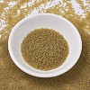 MIYUKI Delica Beads SEED-X0054-DB0771-2