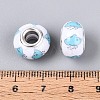 Opaque Resin European Beads RPDL-T004-01H-3