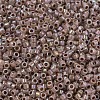 MIYUKI Delica Beads SEED-MY11-DB1749-3