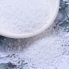 MIYUKI Round Rocailles Beads LS-X-SEED-G007-RR0402F-1