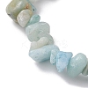 Natural Amazonite & Synthetic Turquoise Beaded Stretch Bracelets for Women BJEW-JB10750-02-4