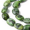 Natural Variscite Beads Strands G-D067-H02-A01-2