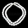 Electroplate Column Glass Beads Strands EGLA-A043-02-M-3
