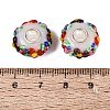 Handmade Lampwork & Brass Core European Beads LS-LAMP-N044-06S-01-4