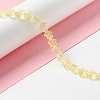 Transparent Glass Beads Strand X1-GLAA-F112-02D-2