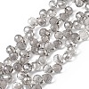 Transparent Electroplate Glass Beads Strands EGLA-F152B-PL01-1