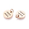 304 Stainless Steel Charms STAS-Q201-T445-11R-2